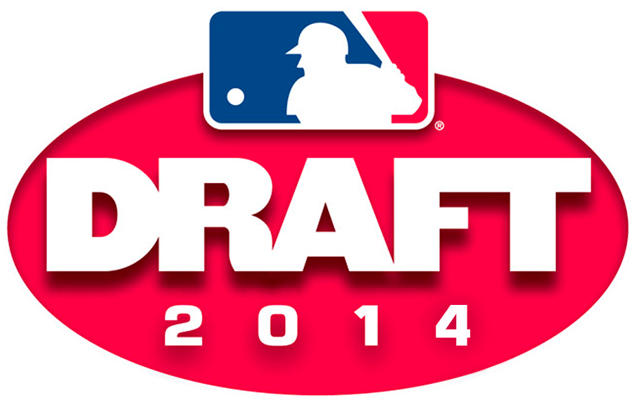 MLB Draft 2014 Primary Logo iron on heat transfer